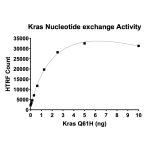 Kras Q61H Nucleotide Exchange Assay Kit